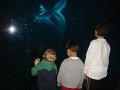 Januar2009 067